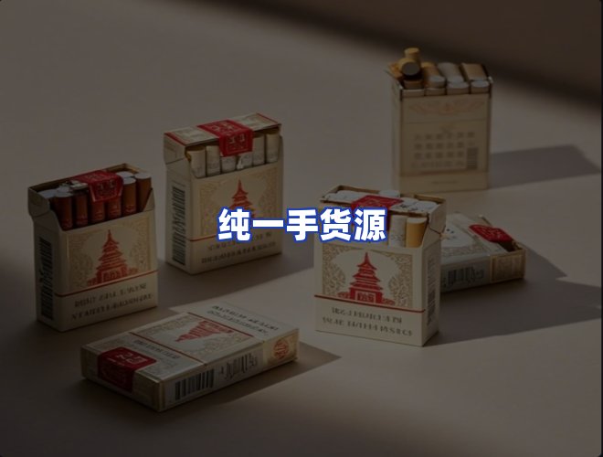 专业团队